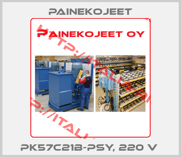 Painekojeet-PK57C21B-PSY, 220 V 