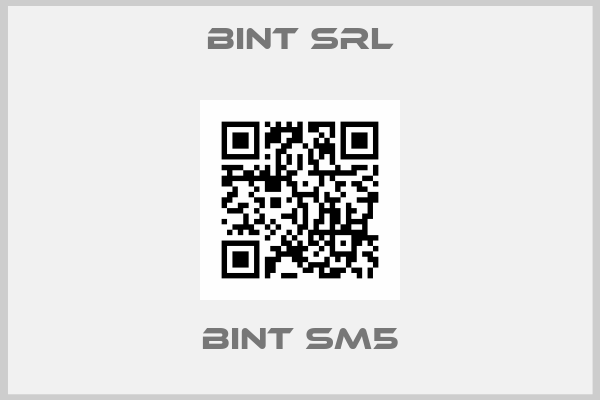 BINT SRL-BINT SM5