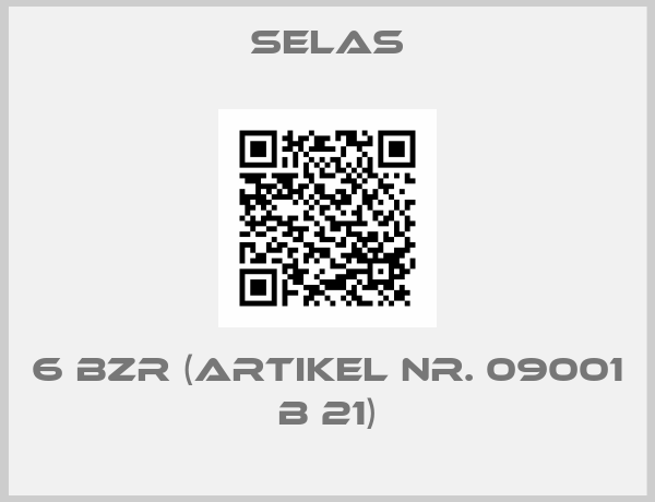 SELAS-6 BZR (Artikel Nr. 09001 B 21)