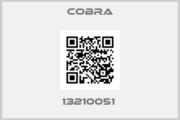 Cobra-13210051 