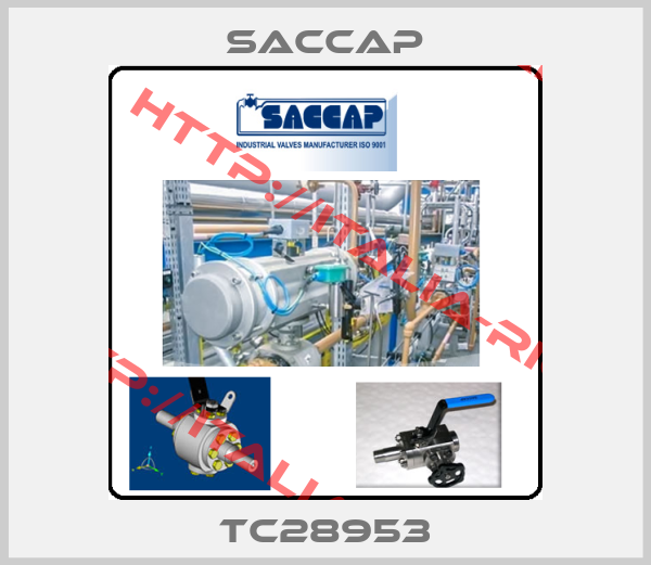 Saccap-TC28953