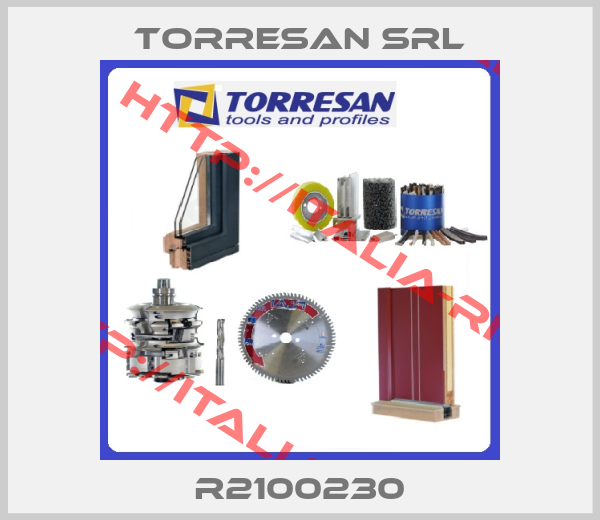 Torresan Srl-R2100230