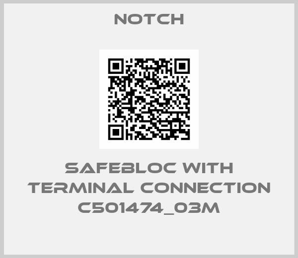 Notch-SAFEBLOC with terminal connection C501474_03m