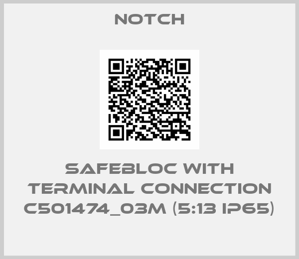 Notch-SAFEBLOC with terminal connection C501474_03M (5:13 IP65)