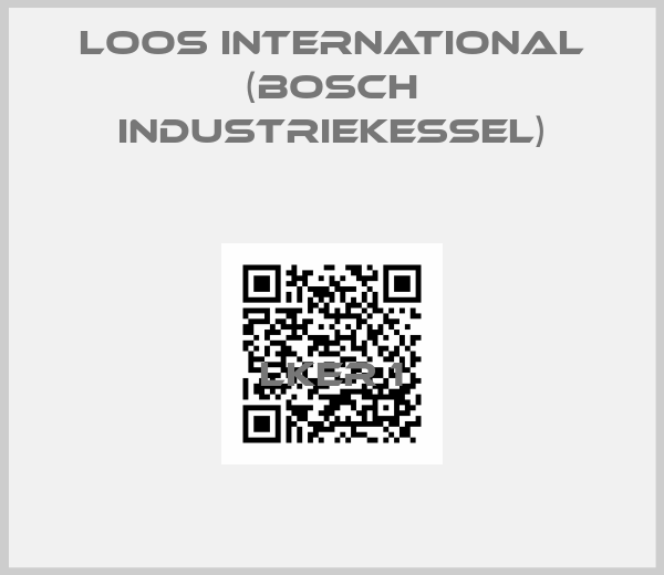 Loos International (Bosch Industriekessel)-LKER 1