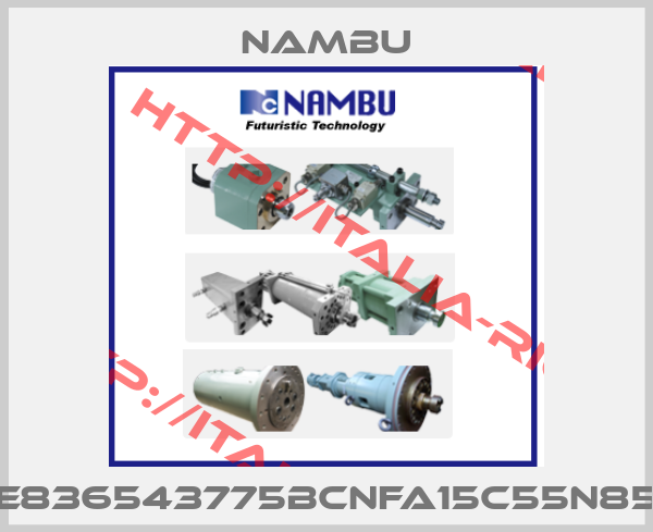 Nambu-E836543775BCNFA15C55N85