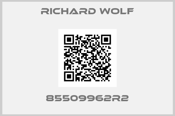 RICHARD WOLF-85509962R2