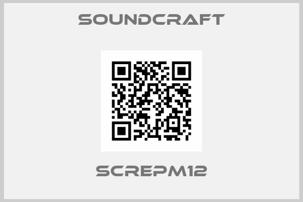 Soundcraft-SCREPM12