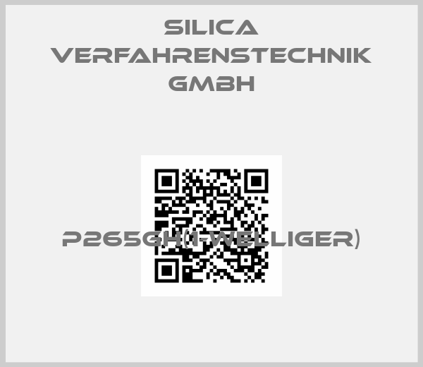 SILICA Verfahrenstechnik GmbH-P265GH(1-welliger)