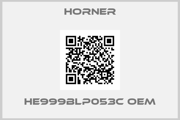 HORNER-HE999BLP053C OEM