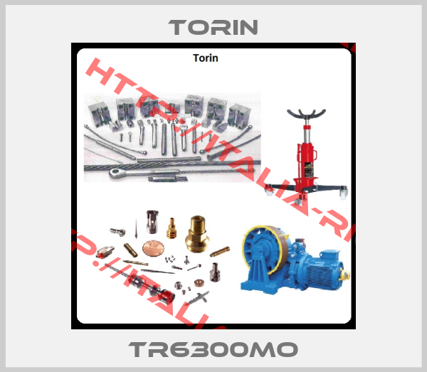 Torin-TR6300MO