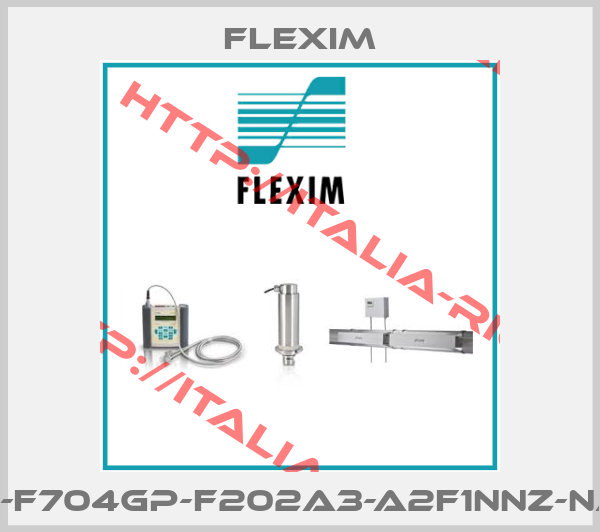 Flexim-TF7-F704GP-F202A3-A2F1NNZ-NATN