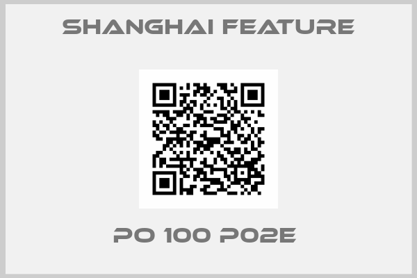 Shanghai Feature-PO 100 P02E 