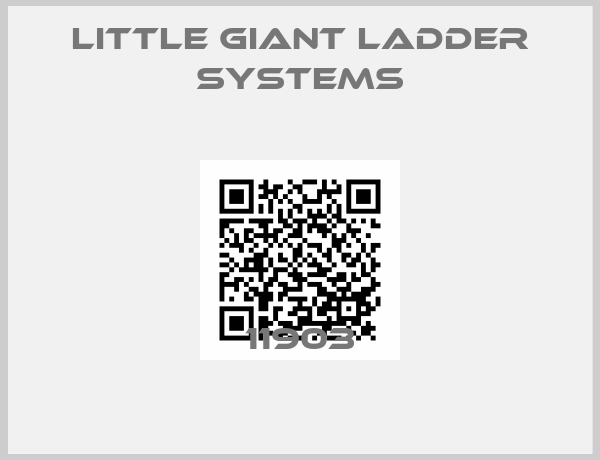 Little Giant Ladder Systems-11903