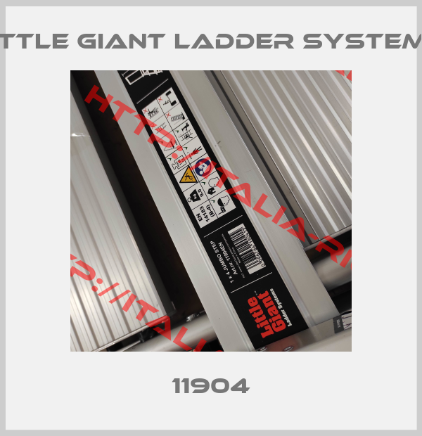 Little Giant Ladder Systems-11904