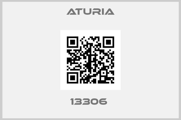 Aturia-13306 