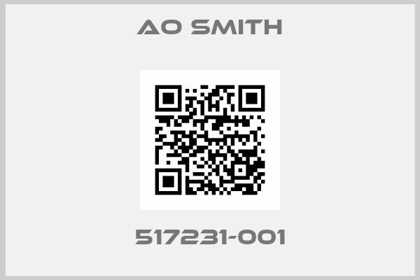 AO Smith-517231-001