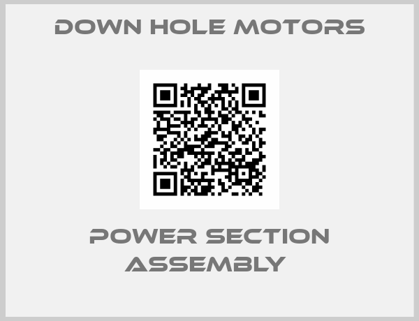 Down Hole Motors-POWER SECTION ASSEMBLY 