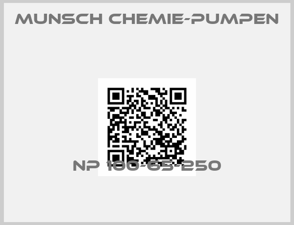 Munsch Chemie-Pumpen -NP 100-65-250