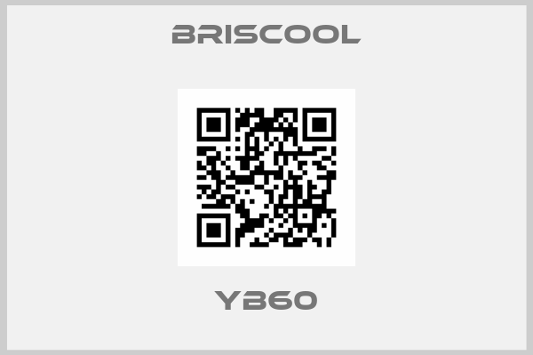 BRISCOOL-YB60