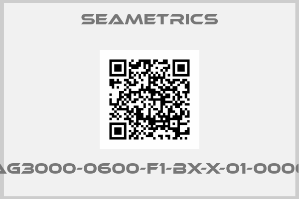 Seametrics-AG3000-0600-F1-BX-X-01-0000