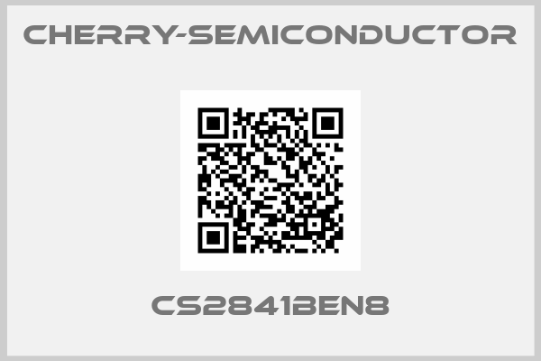 cherry-semiconductor-CS2841BEN8