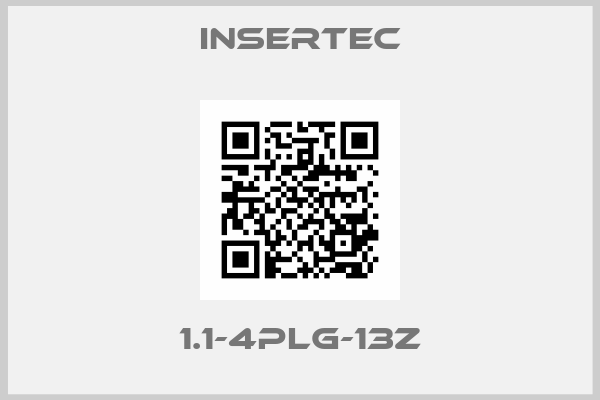 Insertec-1.1-4PLG-13Z
