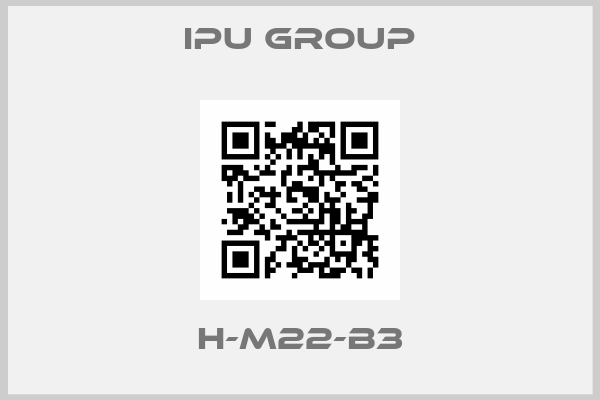 IPU Group-H-M22-B3