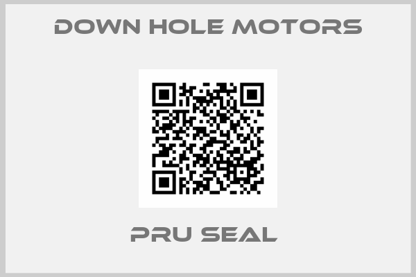 Down Hole Motors-PRU SEAL 