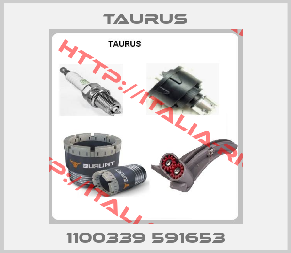 TAURUS-1100339 591653
