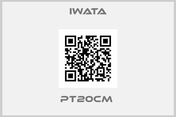 Iwata-PT20CM 