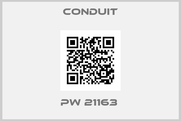 Conduit-PW 21163 