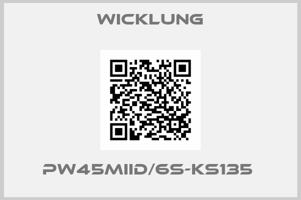Wicklung-PW45MIID/6S-KS135 
