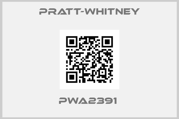 Pratt-Whitney-PWA2391 