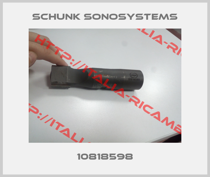 Schunk Sonosystems-10818598