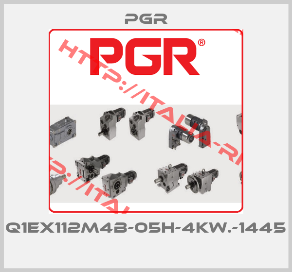 Pgr-Q1EX112M4B-05H-4KW.-1445 