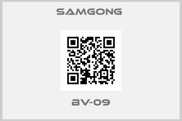 Samgong -BV-09
