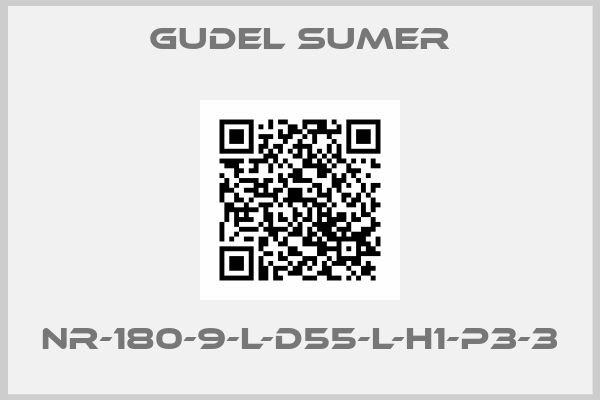 GUDEL SUMER-NR-180-9-L-D55-L-H1-P3-3