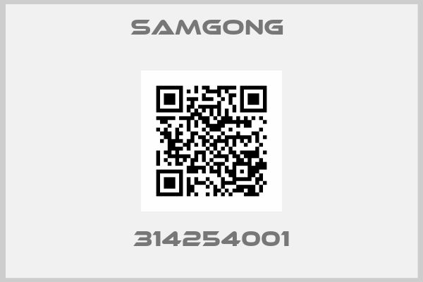 Samgong -314254001