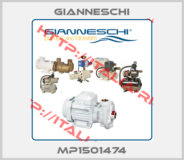 Gianneschi-MP1501474
