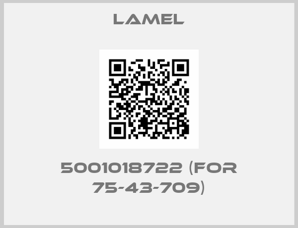 Lamel-5001018722 (for 75-43-709)