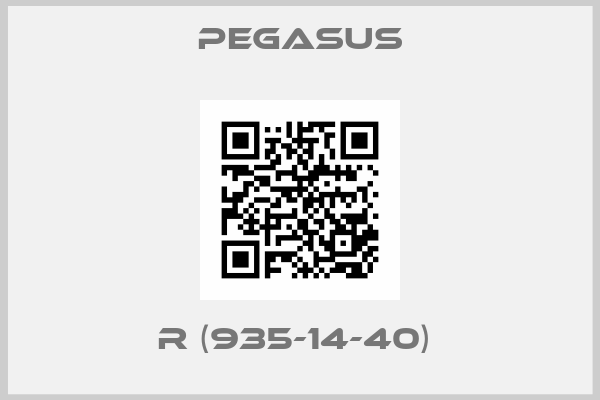 Pegasus-R (935-14-40) 