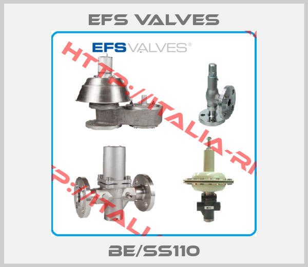 EFS VALVES-BE/SS110