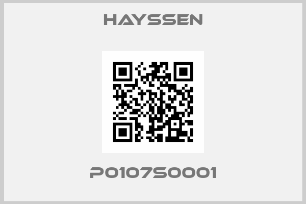 HAYSSEN-P0107S0001