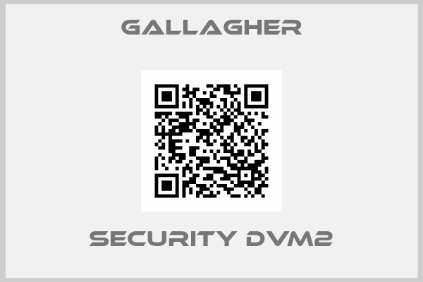 Gallagher-Security DVM2
