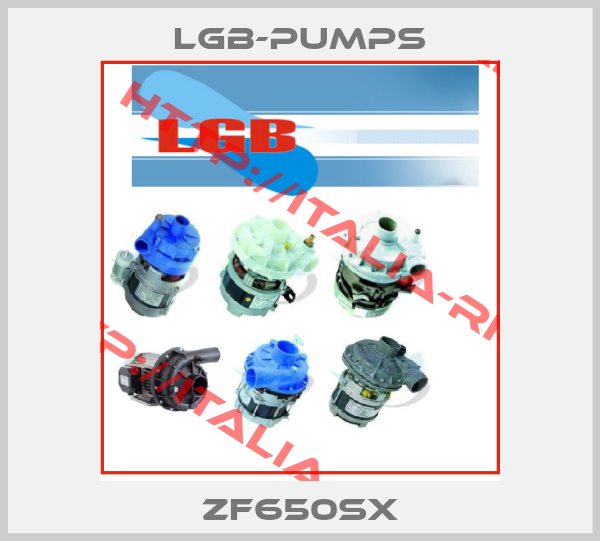 lgb-pumps-ZF650SX