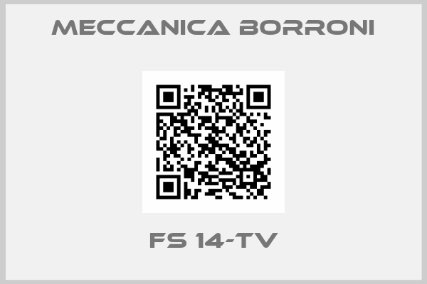 Meccanica Borroni-FS 14-TV
