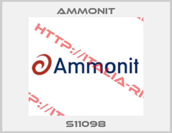 Ammonit-S11098