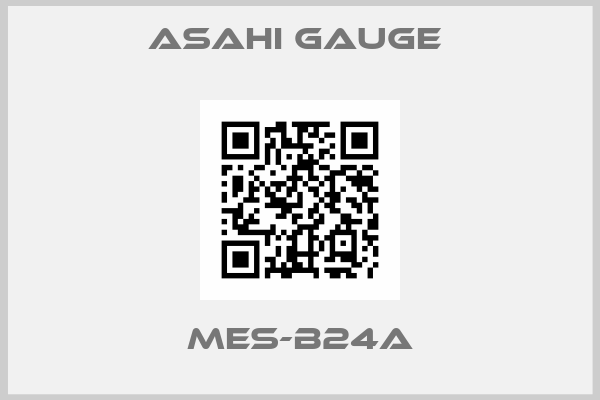 ASAHI Gauge -MES-B24A