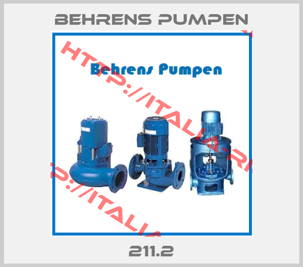 Behrens Pumpen-211.2